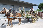 foire chevaux bedarrides 2015__02.jpg