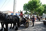 foire chevaux bedarrides 2015__04.jpg