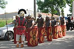 foire chevaux bedarrides 2015__05.jpg