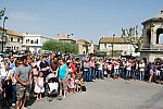 foire chevaux bedarrides 2015__13.jpg