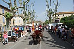 foire chevaux bedarrides 2015__14.jpg