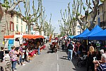 foire chevaux bedarrides 2015__15.jpg