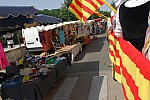 foire chevaux bedarrides 2015__18.jpg