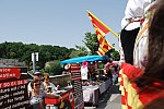 foire chevaux bedarrides 2015__20.jpg