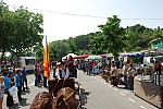 foire chevaux bedarrides 2015__30.jpg