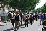 foire chevaux bedarrides 2015__38.jpg