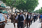 foire chevaux bedarrides 2015__40.jpg