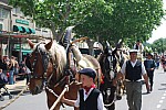 foire chevaux bedarrides 2015__41.jpg