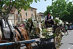 foire chevaux bedarrides 2015__43.jpg