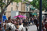 foire chevaux bedarrides 2015__45.jpg