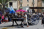 foire chevaux bedarrides 2015__50.jpg