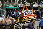 foire chevaux bedarrides 2015__54.jpg