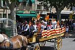 foire chevaux bedarrides 2015__55.jpg