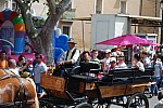 foire chevaux bedarrides 2015__59.jpg