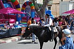 foire chevaux bedarrides 2015__65.jpg