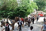 foire chevaux bedarrides 2015__66.jpg