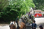 foire chevaux bedarrides 2015__67.jpg