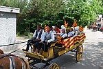 foire chevaux bedarrides 2015__69.jpg