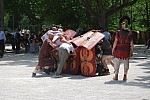 foire chevaux bedarrides 2015__79.jpg