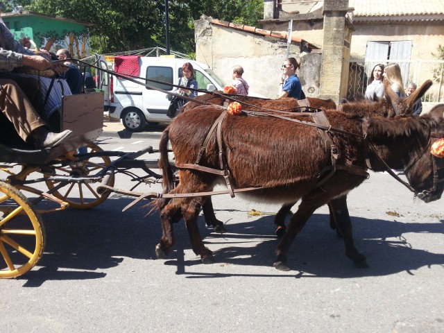 Foire chevaux bis  2016_14.jpg