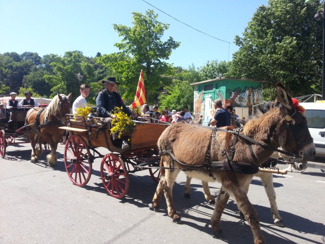 Foire chevaux bis  2016_15.jpg