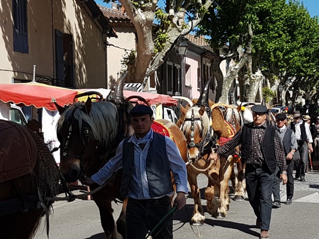 Foire chevaux bis_1  2016.jpg