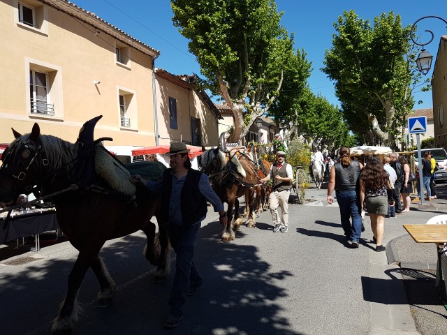 Foire chevaux bis_1  2016_03.jpg