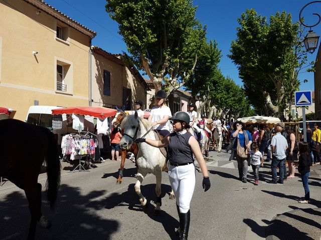 Foire chevaux bis_1  2016_07.jpg