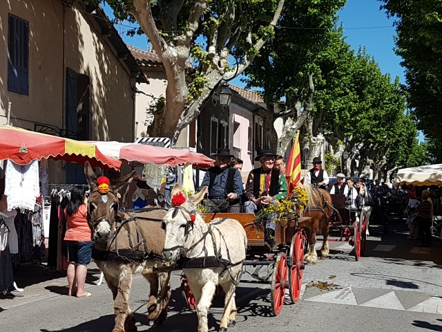 Foire chevaux bis_1  2016_15.jpg