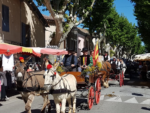 Foire chevaux bis_1  2016_16.jpg