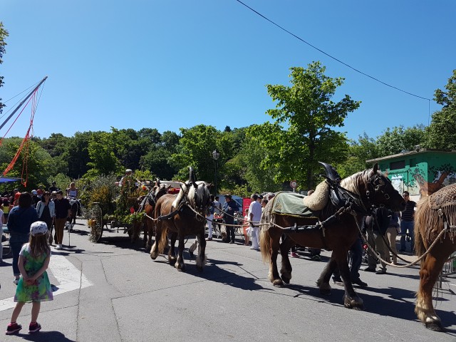 Foire chevaux bis_1  2016_29.jpg