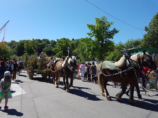 Foire chevaux bis_1  2016_30.jpg