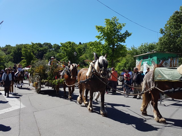 Foire chevaux bis_1  2016_31.jpg