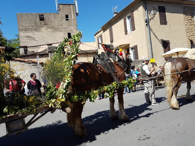 Foire chevaux bis_1  2016_34.jpg