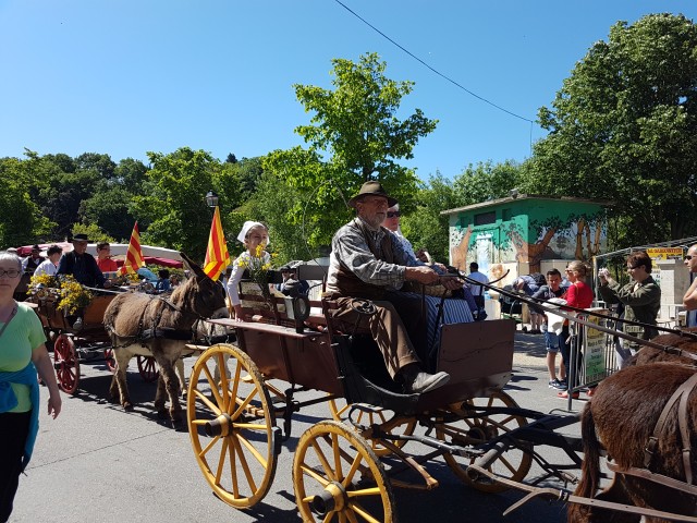 Foire chevaux bis_1  2016_50.jpg