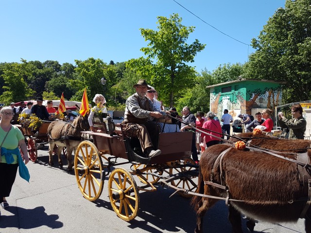 Foire chevaux bis_1  2016_51.jpg