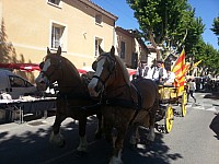 Foire chevaux bis  2016.jpg