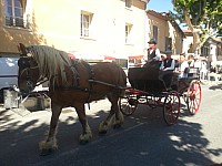 Foire chevaux bis  2016_08.jpg