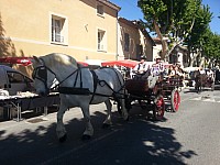 Foire chevaux bis  2016_09.jpg