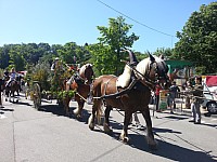 Foire chevaux bis  2016_10.jpg