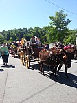 Foire chevaux bis  2016_13.jpg