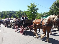 Foire chevaux bis  2016_16.jpg