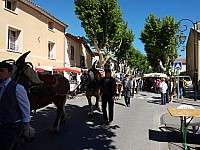 Foire chevaux bis_1  2016_02.jpg