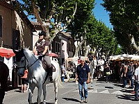 Foire chevaux bis_1  2016_06.jpg