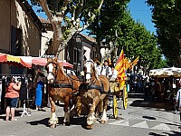 Foire chevaux bis_1  2016_10.jpg