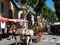 Foire chevaux bis_1  2016_15.jpg