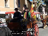 Foire chevaux bis_1  2016_18.jpg