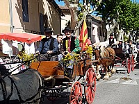 Foire chevaux bis_1  2016_19.jpg