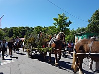 Foire chevaux bis_1  2016_32.jpg