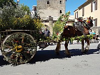 Foire chevaux bis_1  2016_35.jpg